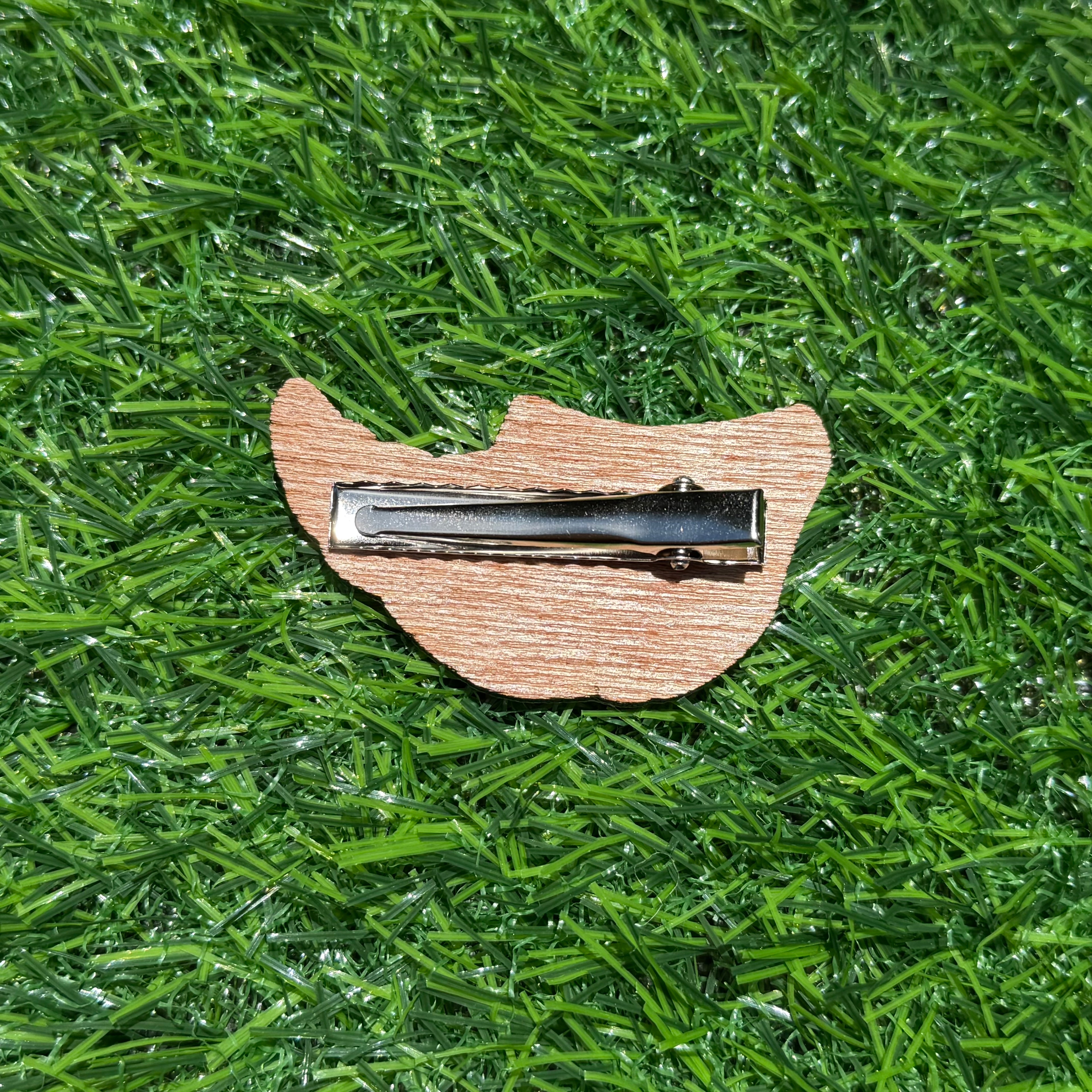 Pokémon Hair Clip